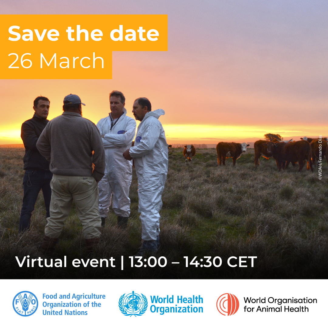 Global One Health Intelligence in action : Official launch of the GLEWS+ platform and website 