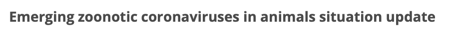 animal disease situation updates - Emerging zoonotic coronaviruses in animals