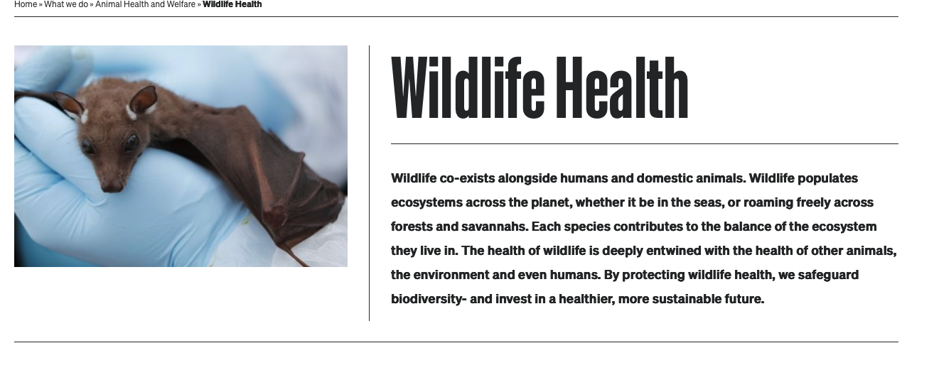 Global Situation page of the wildlife health portal